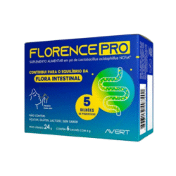 FLORENCE PRO 4G 6 X SCH