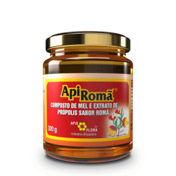 MEL PROPOLIS GENGIBRE 300GR